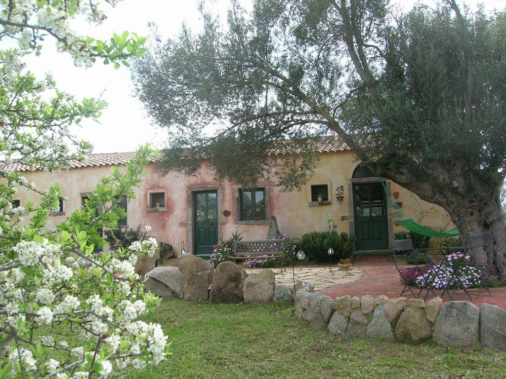 La Mesenda Rooms & Apartments Арцахена Екстериор снимка